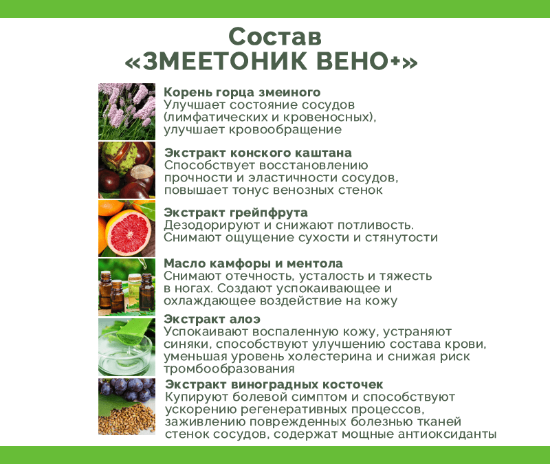 Состав Змеетоника Вено Плюс